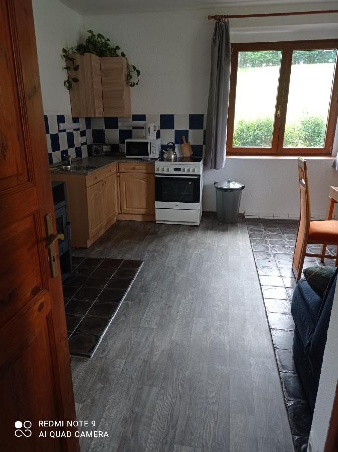 Apartmany U Becova Nad Teplou Bečov nad Teplou المظهر الخارجي الصورة